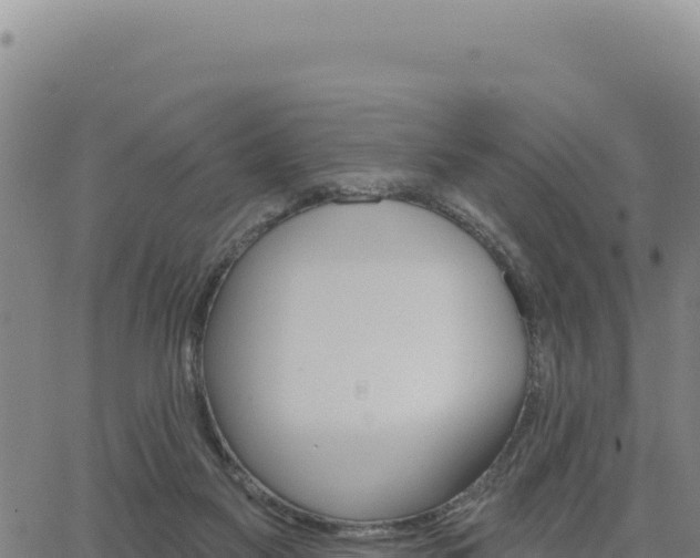 X0000063480117200601271704