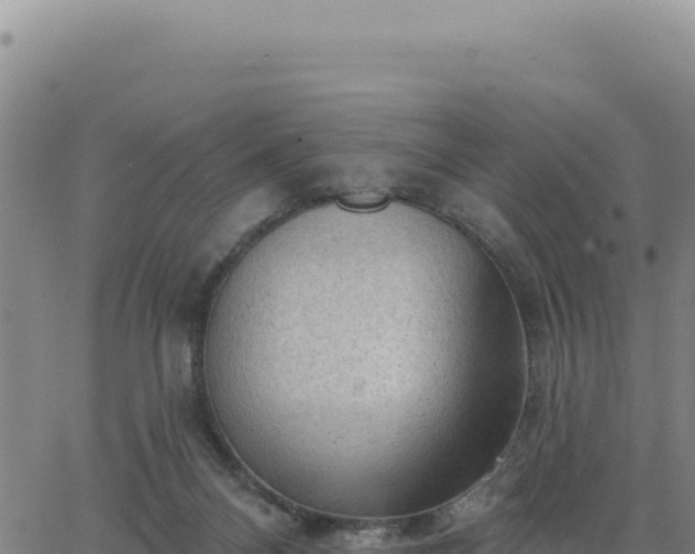 X0000063480120200601271704