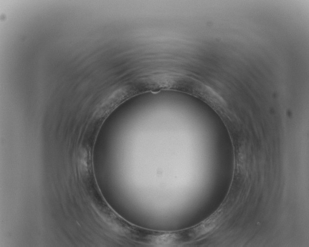 X0000063480122200601271704