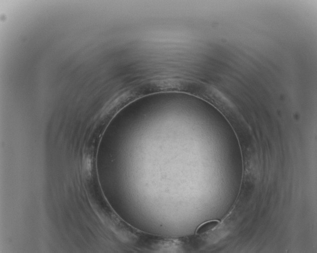 X0000063480124200601271704