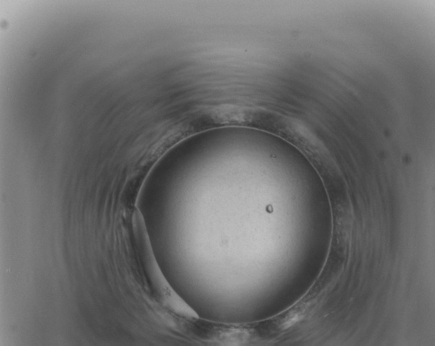 X0000063480125200601271704