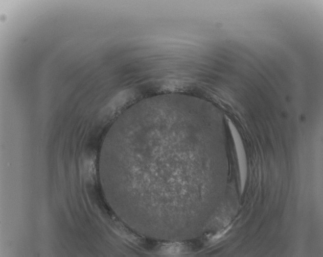 X0000063480127200601271704