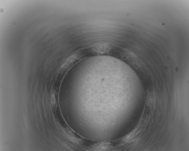 X0000063480128200601271704