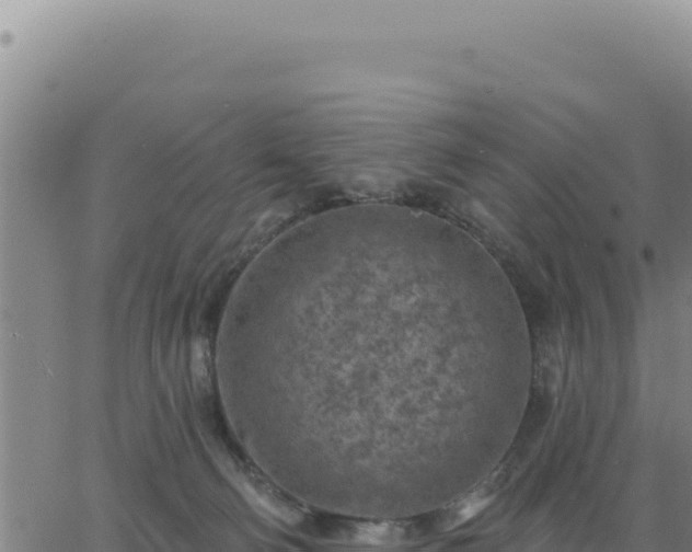 X0000063480130200601271704