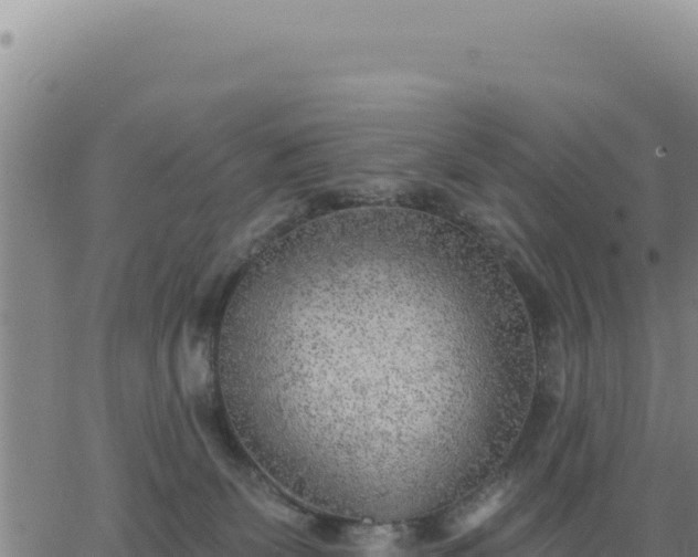 X0000063480131200601271704