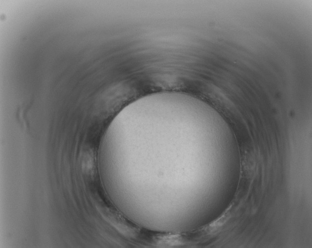 X0000063480132200601271704