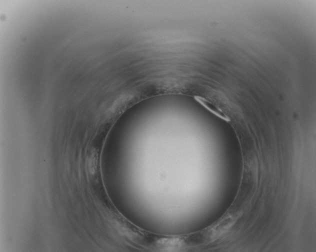 X0000063480133200601271704