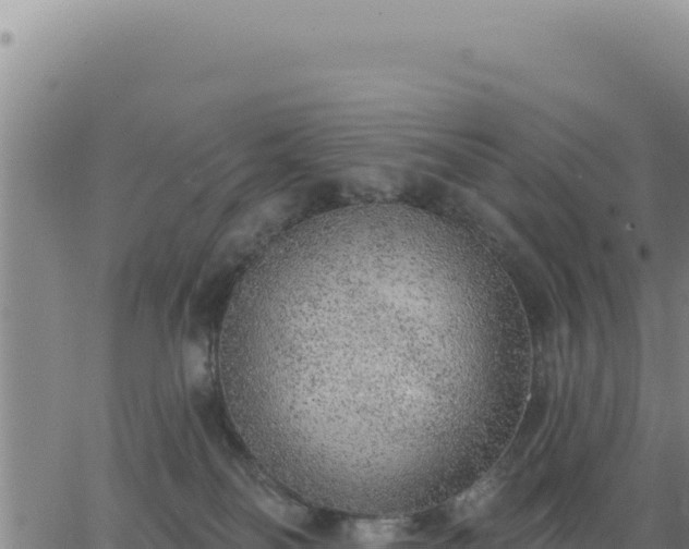 X0000063480134200601271704