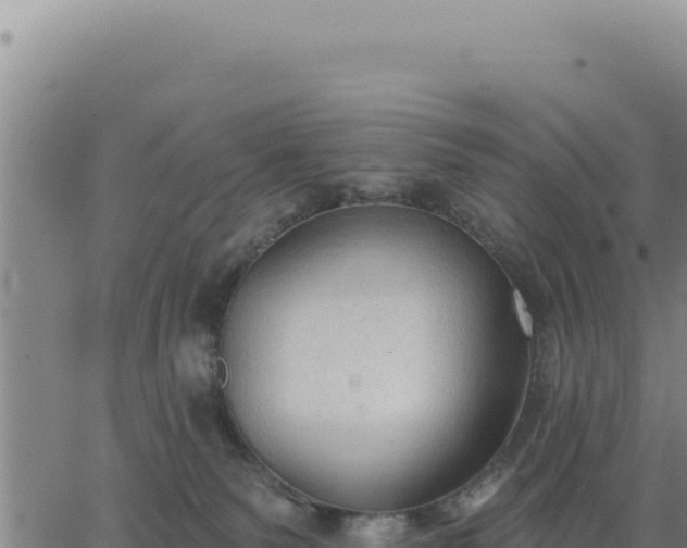 X0000063480135200601271704