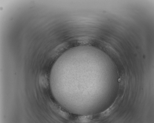 X0000063480136200601271704