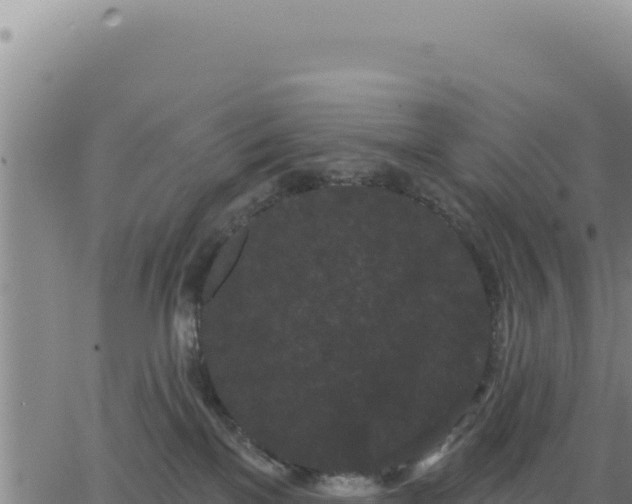 X0000063480137200601271704