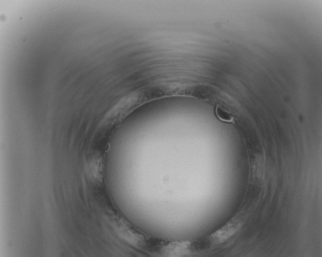 X0000063480138200601271704