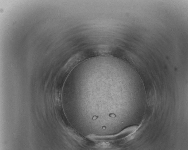 X0000063480140200601271704