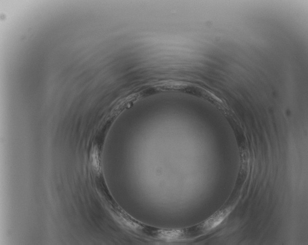 X0000063480143200601271704