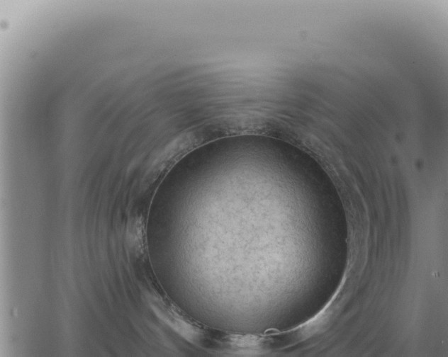 X0000063480144200601271704