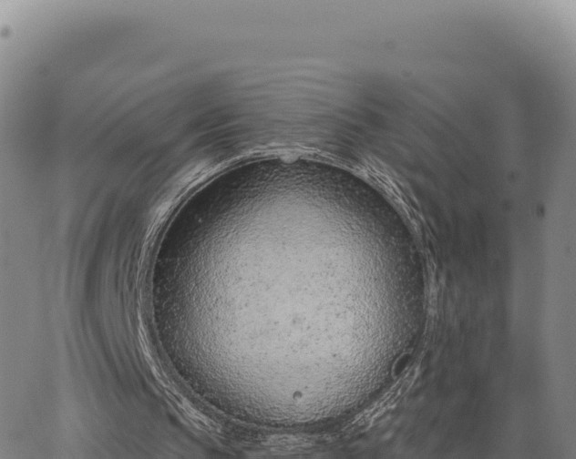 X0000063480145200601271703