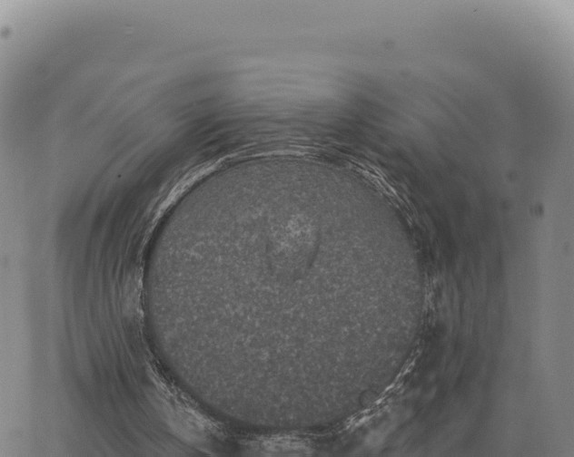 X0000063480146200601271703