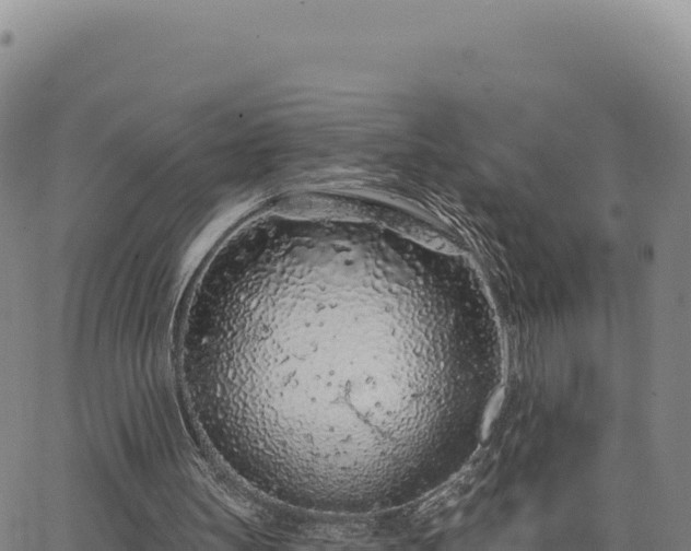 X0000063480147200601271703