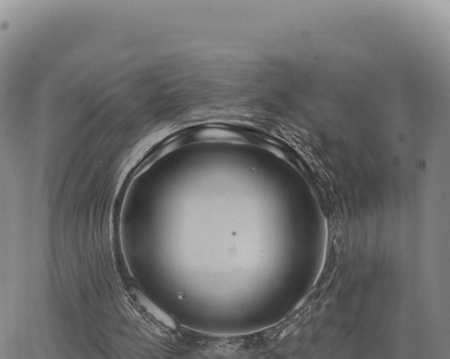 X0000063480148200601271703