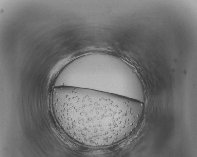 X0000063480149200601271703