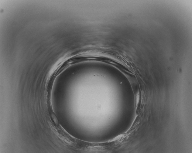 X0000063480150200601271703