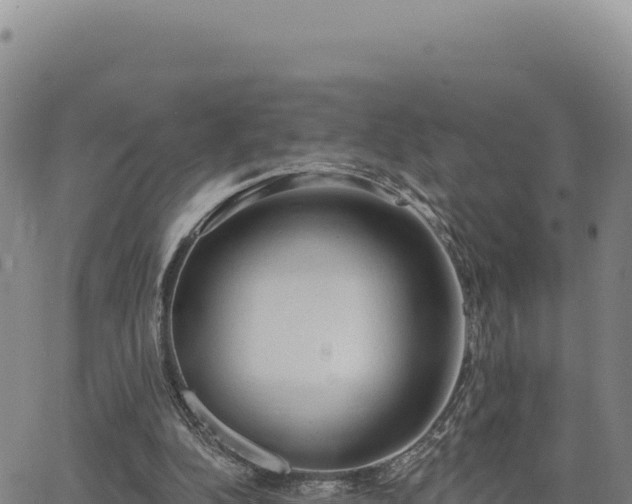 X0000063480152200601271703