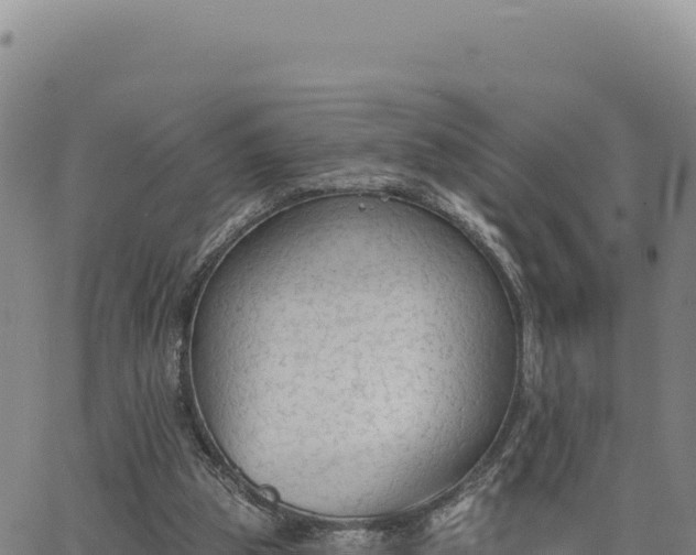 X0000063480153200601271703