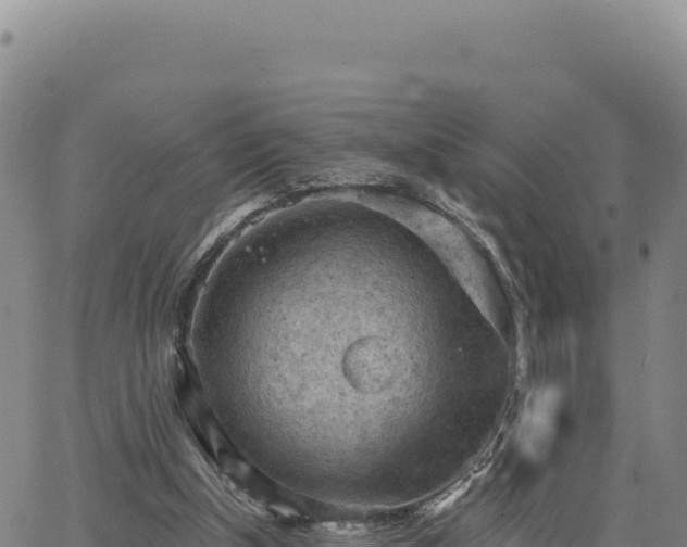 X0000063480154200601271703