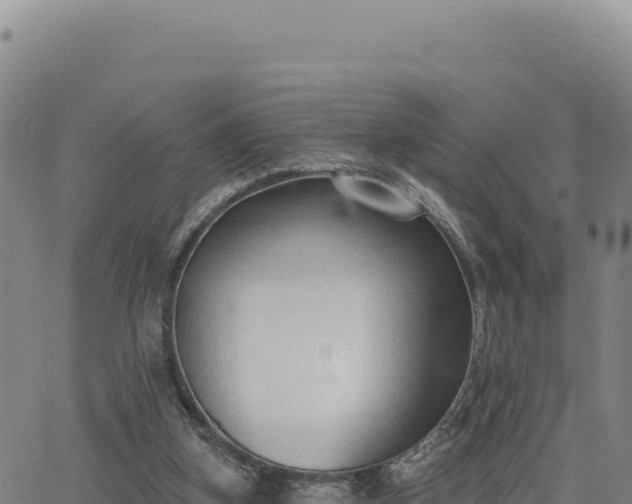 X0000063480155200601271703