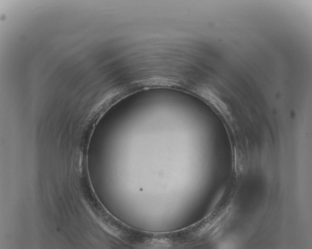 X0000063480157200601271703