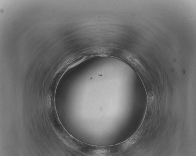 X0000063480158200601271703