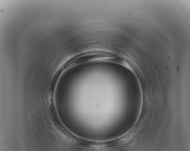 X0000063480160200601271703