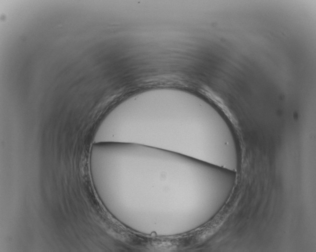 X0000063480161200601271703