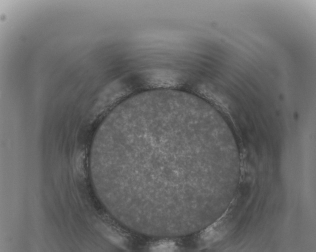 X0000063480162200601271703