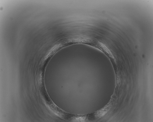 X0000063480163200601271703