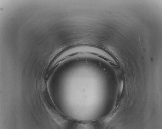 X0000063480164200601271703