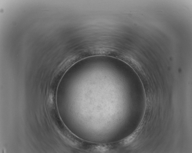 X0000063480166200601271704