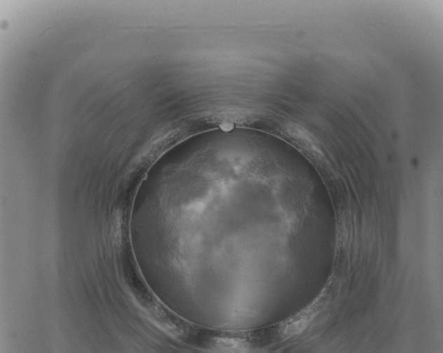 X0000063480167200601271704