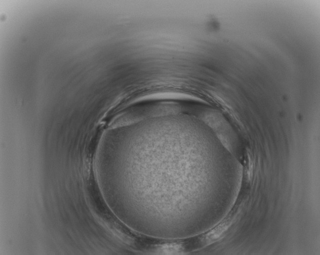 X0000063480168200601271704