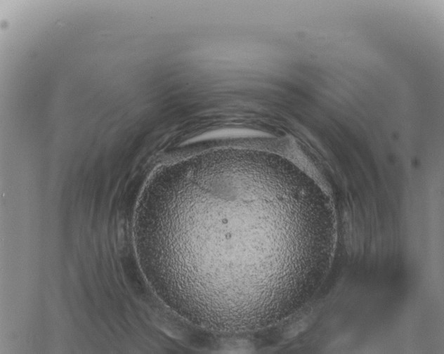 X0000063480169200601271704