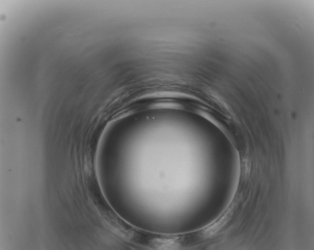 X0000063480170200601271704