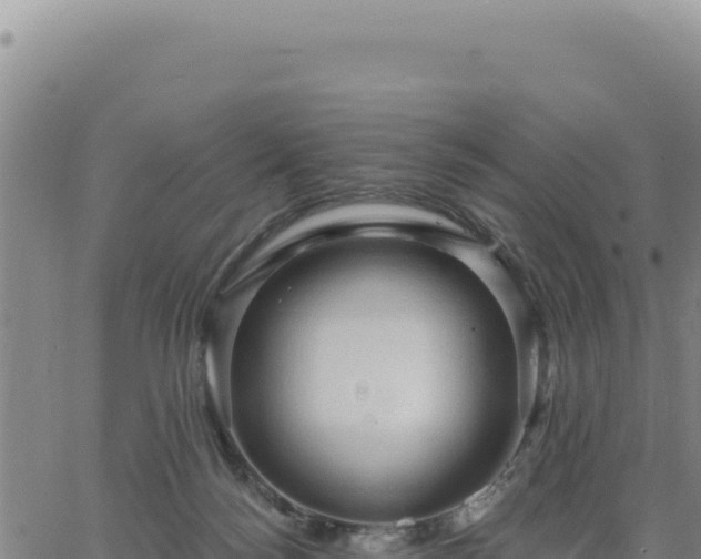 X0000063480172200601271704