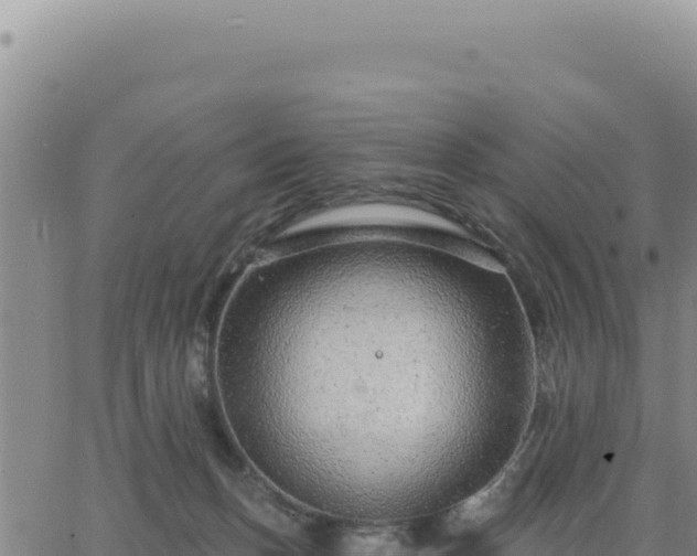 X0000063480175200601271704