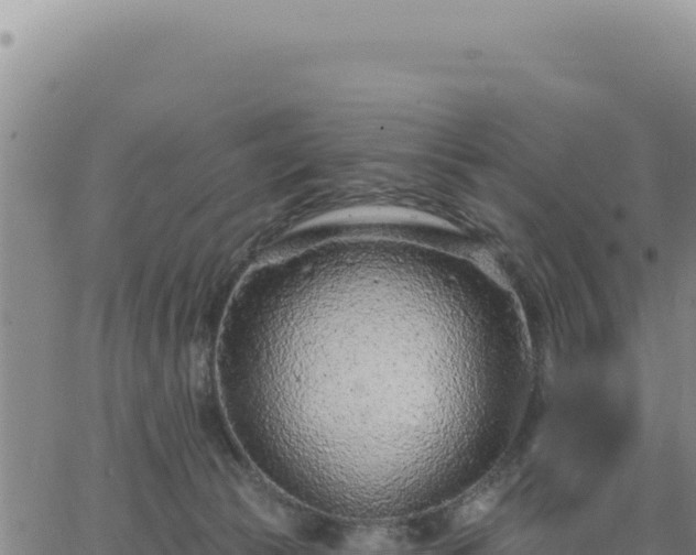 X0000063480177200601271704