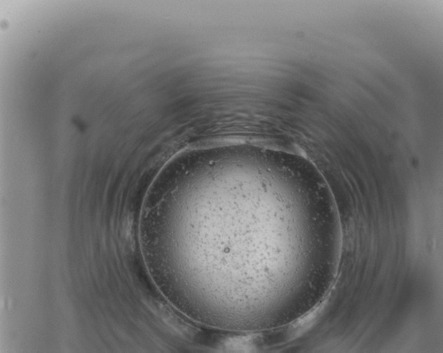 X0000063480178200601271704