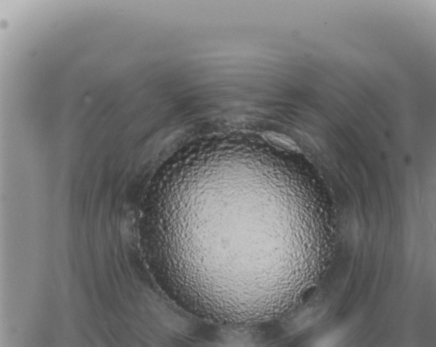 X0000063480181200601271704