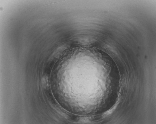 X0000063480182200601271704