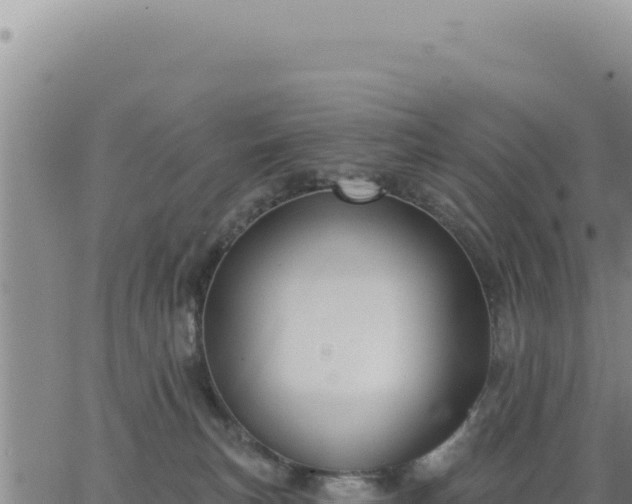 X0000063480183200601271704