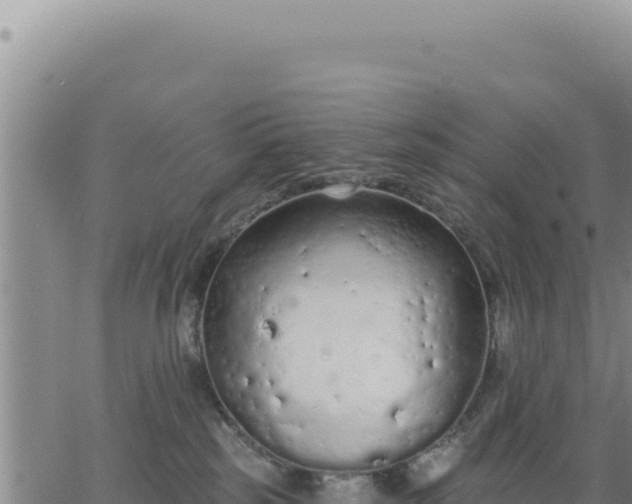 X0000063480185200601271704