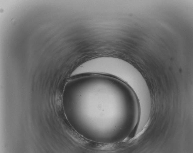 X0000063480186200601271704